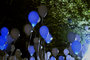 Blauwe Waterdichte led ballon lampjes 10 stuks_